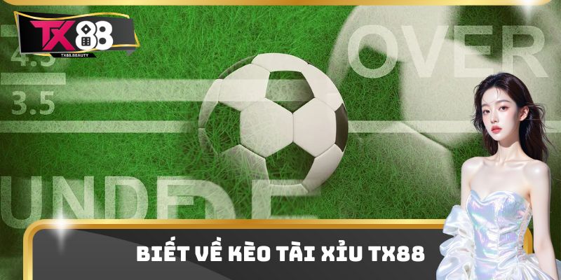 Biết về kèo tài xỉu TX88