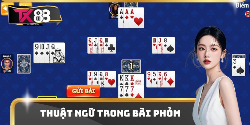 Một số thuật ngữ chắc chắn xuất hiện trong ván